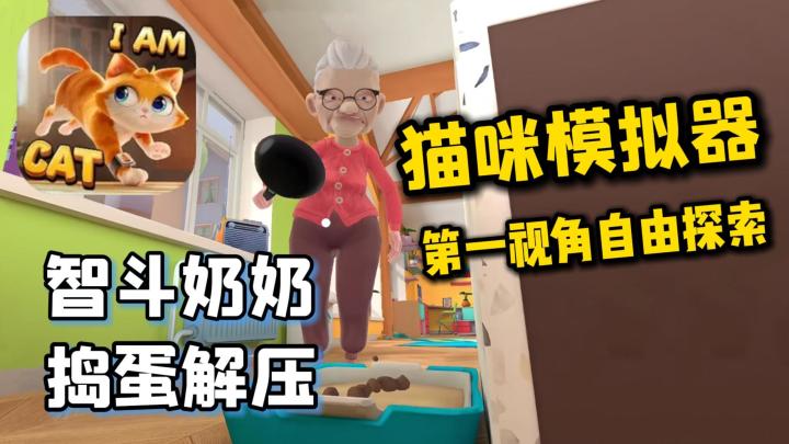 无广告超解压,猫咪模拟器,恶搞拆家自由探索,第一视角智斗奶奶截图