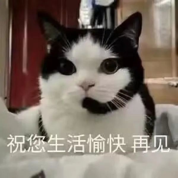 全都是广告,不看广告很难玩 2