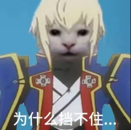 版本弃子 1