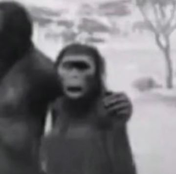 来自一位调和拳玩家心声