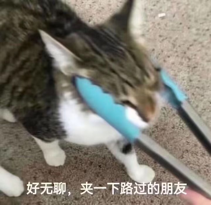 我的等级没了截图