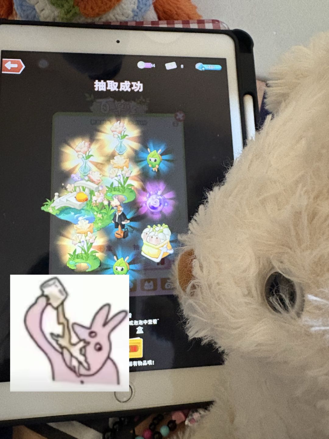 人 这次爆率真的很高 1
