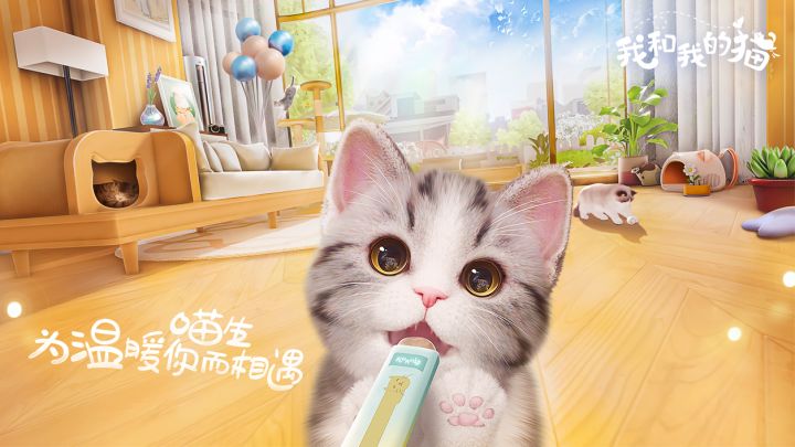 《我和我的猫》治愈PV|喵生,为温暖你而相遇截图