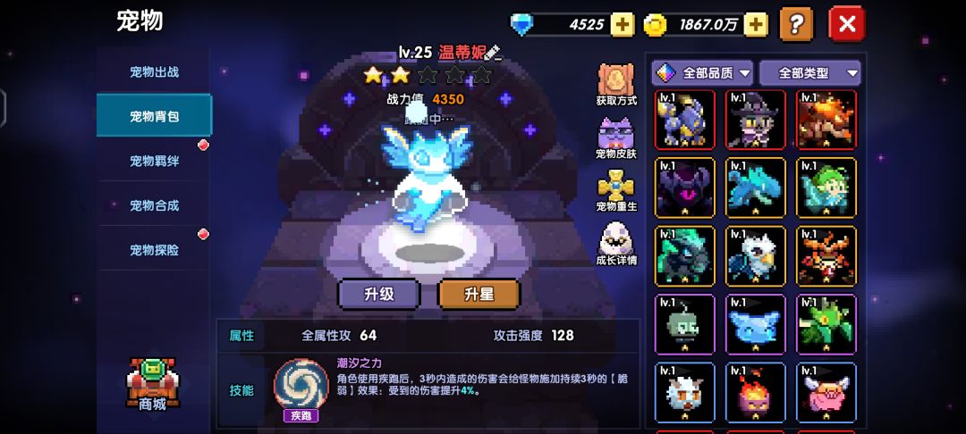 刚刚回归 5