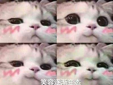 一起玩吗? 1