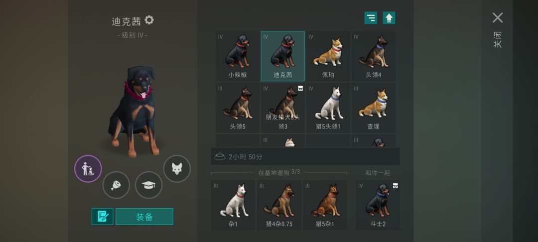 一下子两条朋友狗 2