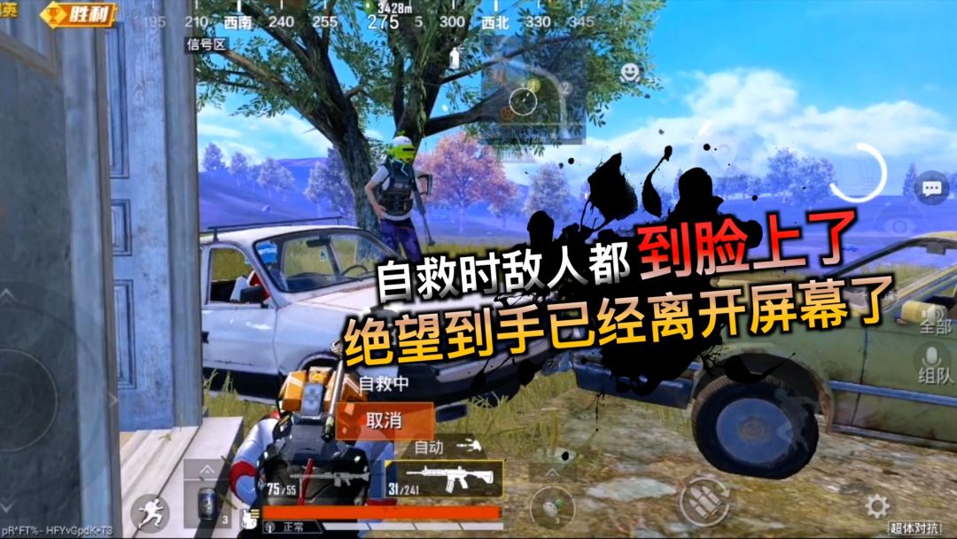 video-3859478