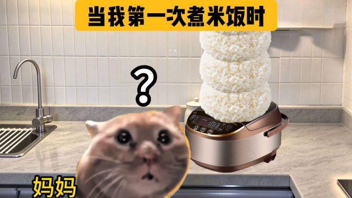 当我第一次煮米饭时截图