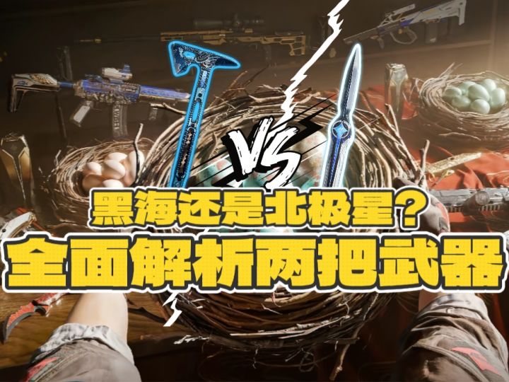 【洲的宝库】黑海还是北极星?请做出你的选择!截图