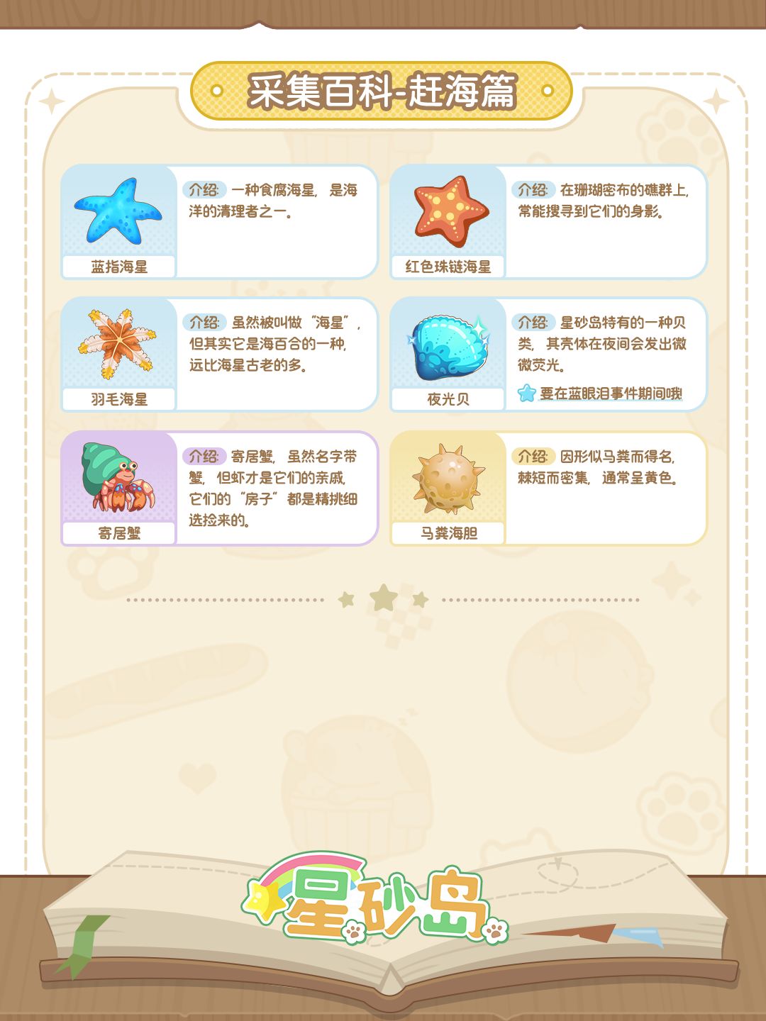 🔎星砂百科丨住在岛上,当然要赶海啦! 3