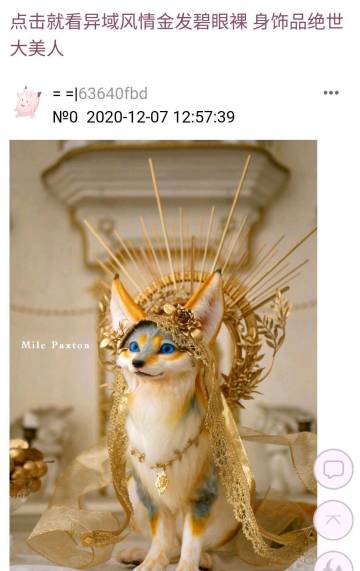 贸易萌新购物建议