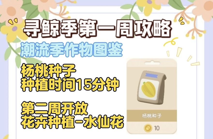 寻鲸季潮流季攻略-第一周 6