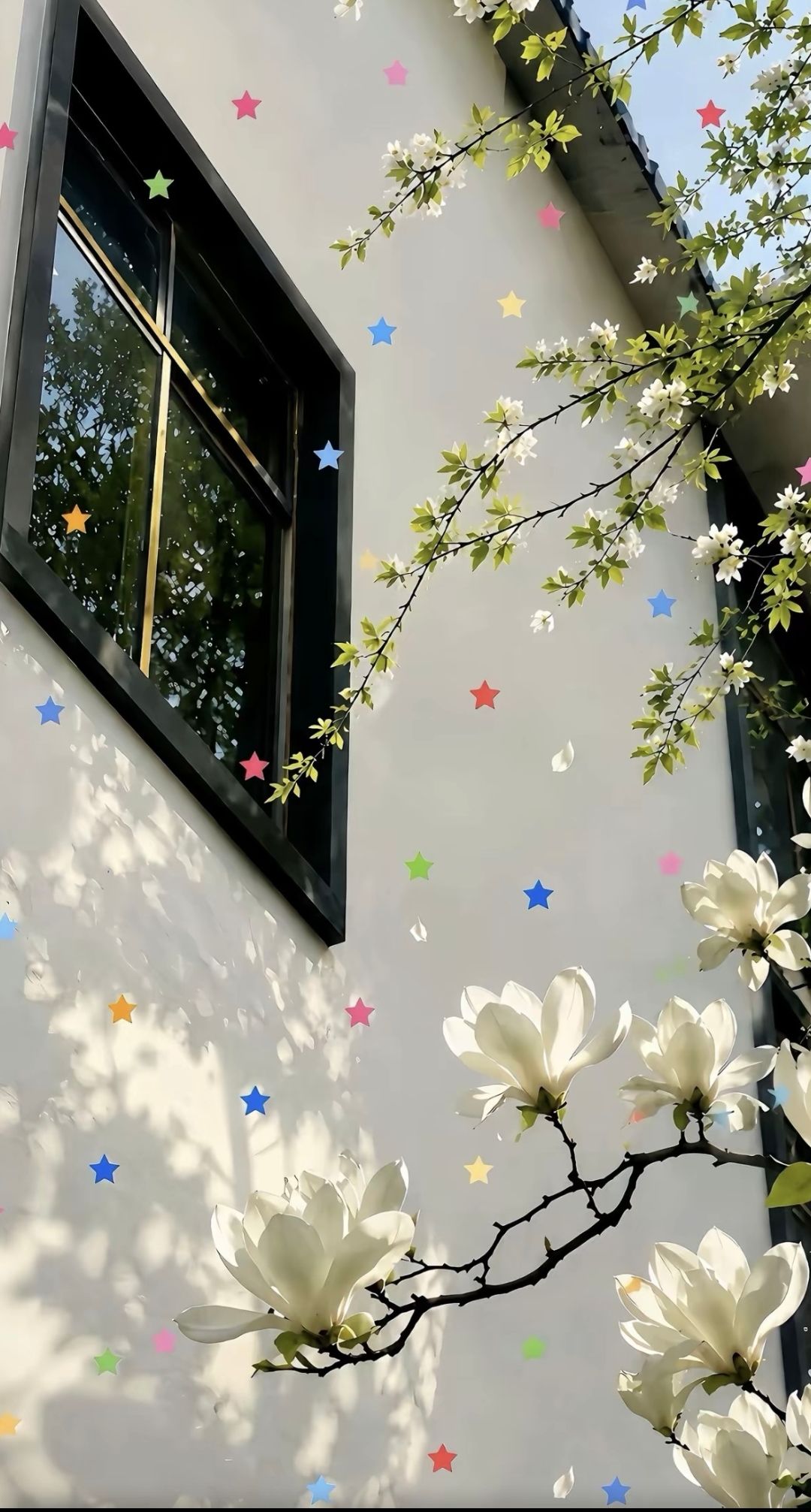 今日份壁纸——绿色💚系列(1️⃣) 1