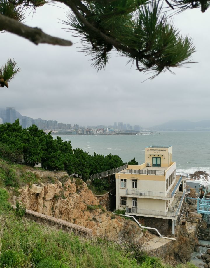 我想跟艾冻冻去青岛的小麦岛看海截图