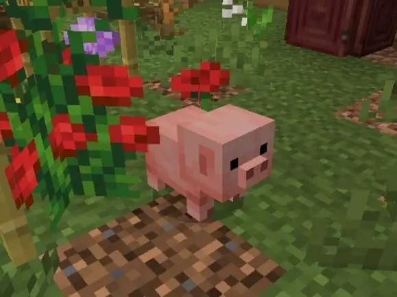 Switch 2版我的世界10月28日发售!约200元 1