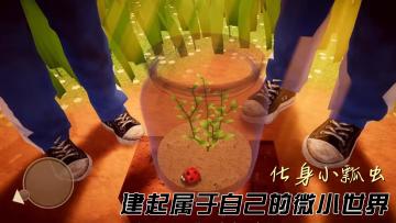 化身小瓢虫，在草叶之下建起属于自己的微小世界