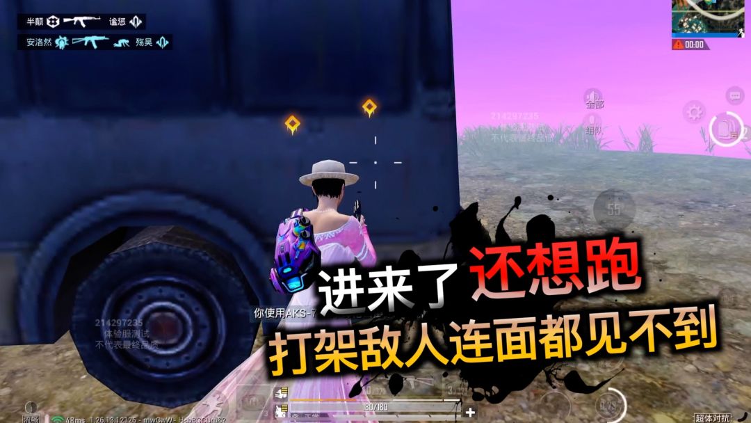 video-3985141