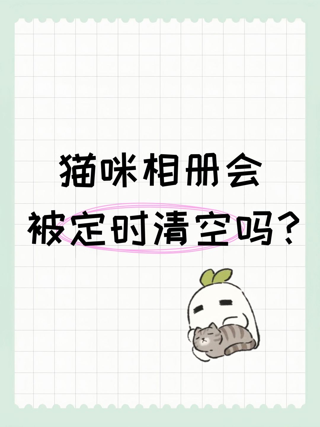 猫咪相册会被定时清空吗? 1