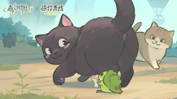 蛙蛙的旅行日记丨DAY3 初见毛球