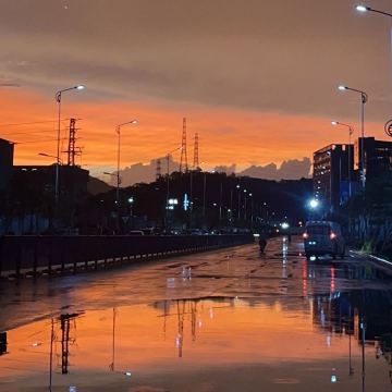 《拳拳之渡》肆 PS：蜘蛛是个侦探