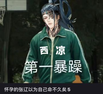 怀孕的张辽以为自己命不久矣5