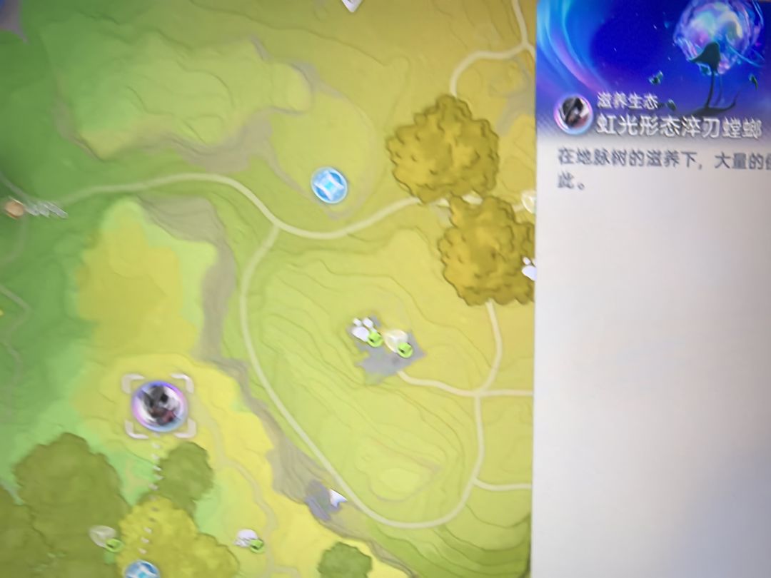 全体目光向我看齐!我宣布一辈子拥护伊莫! 6