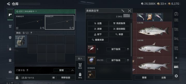 十格大眼海鲢怎么钓截图