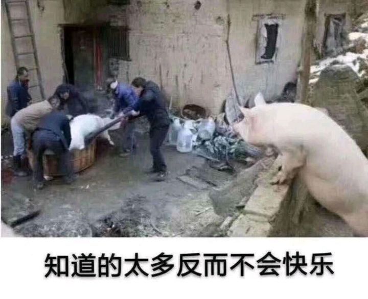 临时变异三属性最值的是哪种,拍卖行价格都不一样截图