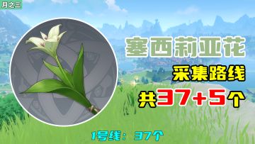 【原神】塞西莉亚花采集路线（37+5个），1号线：37个