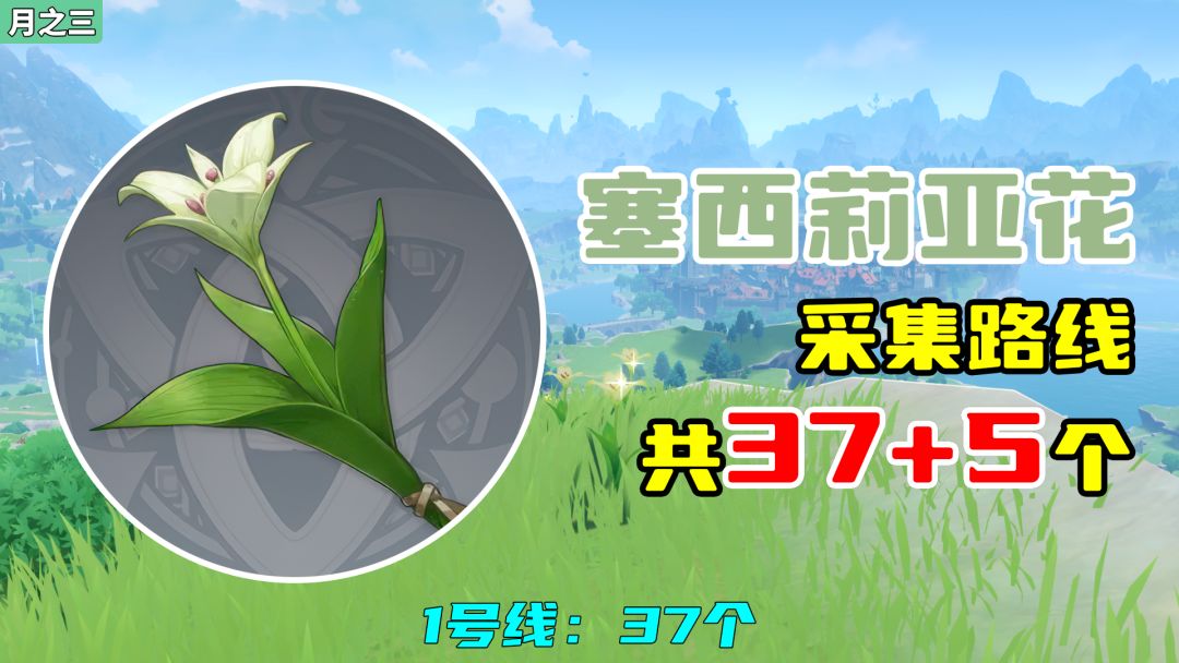 【原神】塞西莉亚花采集路线（37+5个），1号线：37个截图