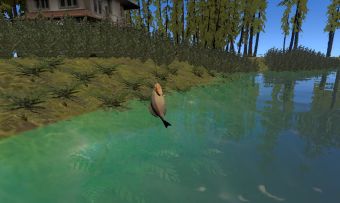 研发内幕系列-鱼软体模拟