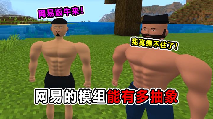 网易的模组能有多抽象！牛来？！这建模也太粗糙了吧！截图