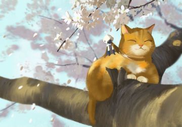 小光分享丨与猫咪相遇的慵懒午后