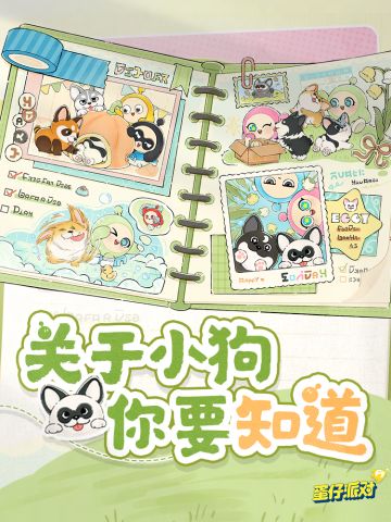 汪汪课堂开课啦！