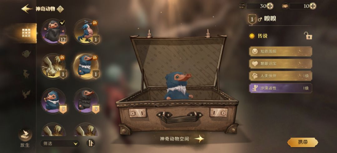 萌新第一只三金宠物 1