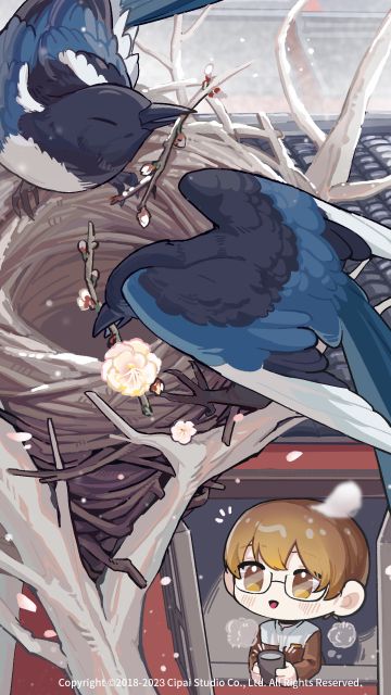 【来古弥新】今日小寒，鹊筑新巢。