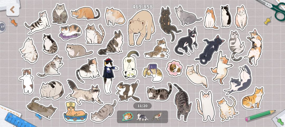猫的完成展示图4 6