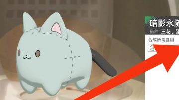 猫之城孵猫概率最高孵法