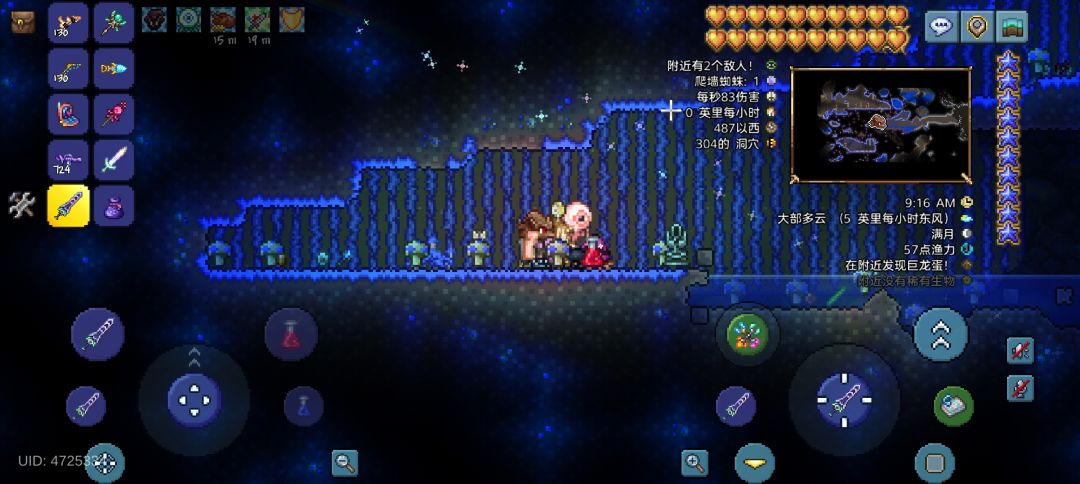 鼬加乌龟 2