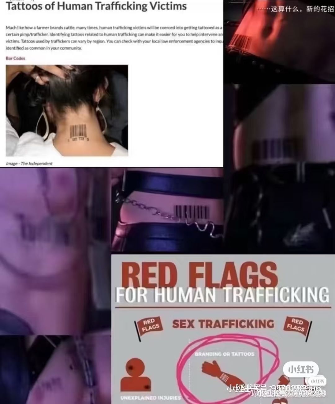 持续走烂,能那么快干死自己也是佩服 1