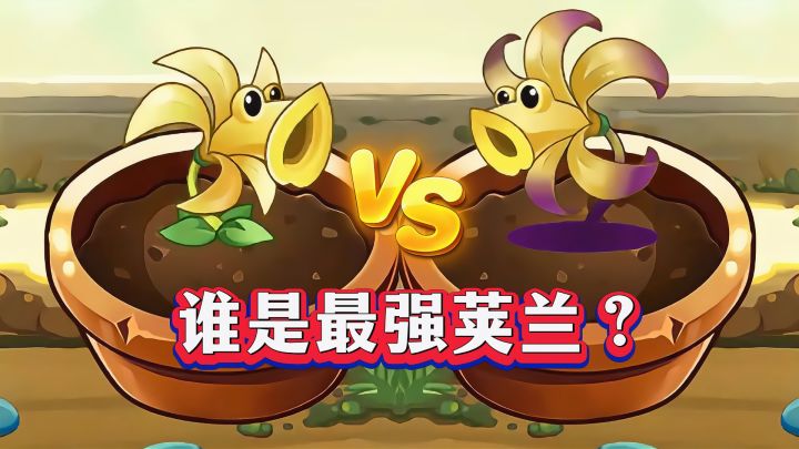 吹风荚兰VS暗影荚兰:谁是最强荚兰?截图