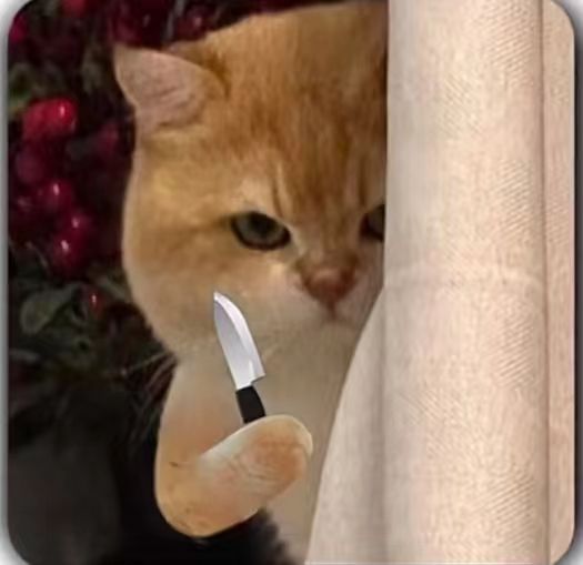 你以为你不点看广告就能躲过? 1