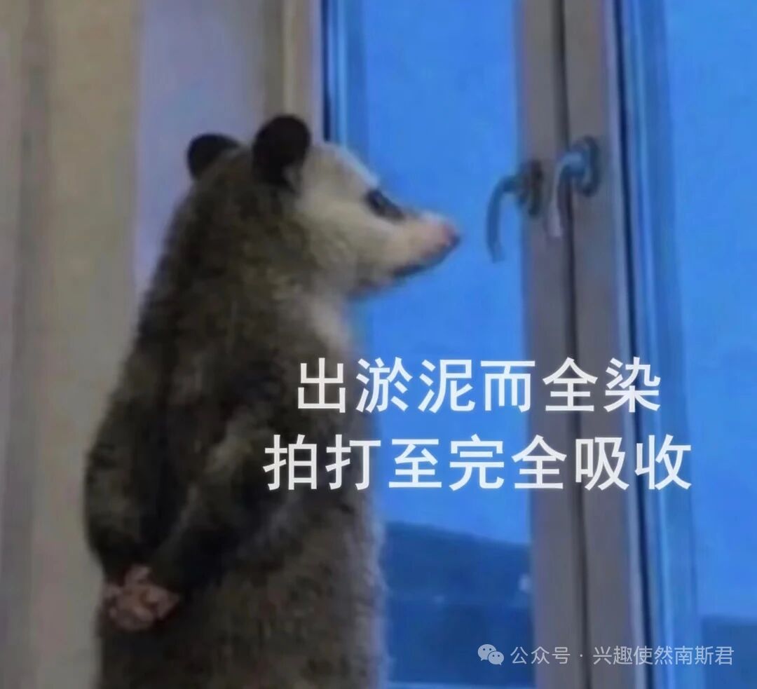 又可以站起来啦! 1