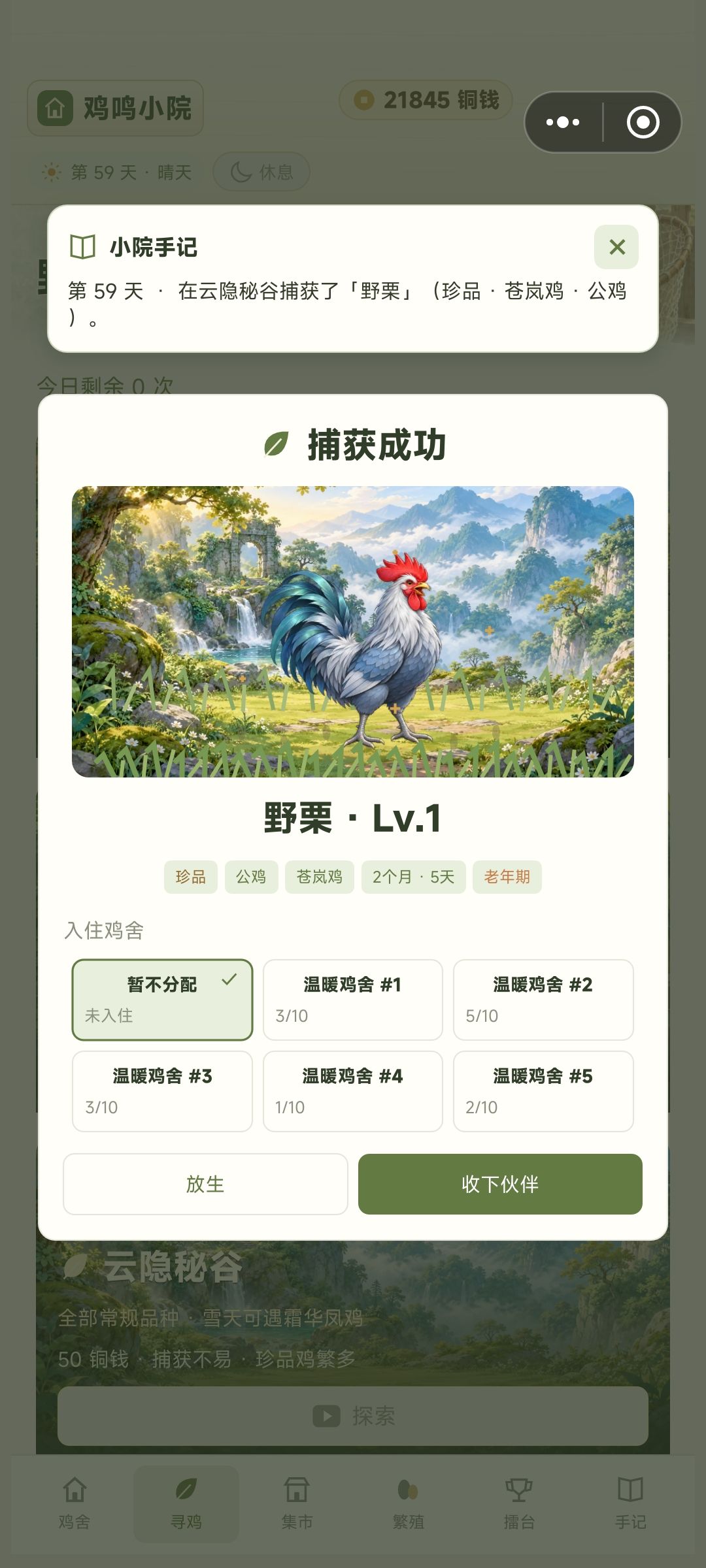 《鸡鸣小院》收集养成+模拟经营类游戏 3