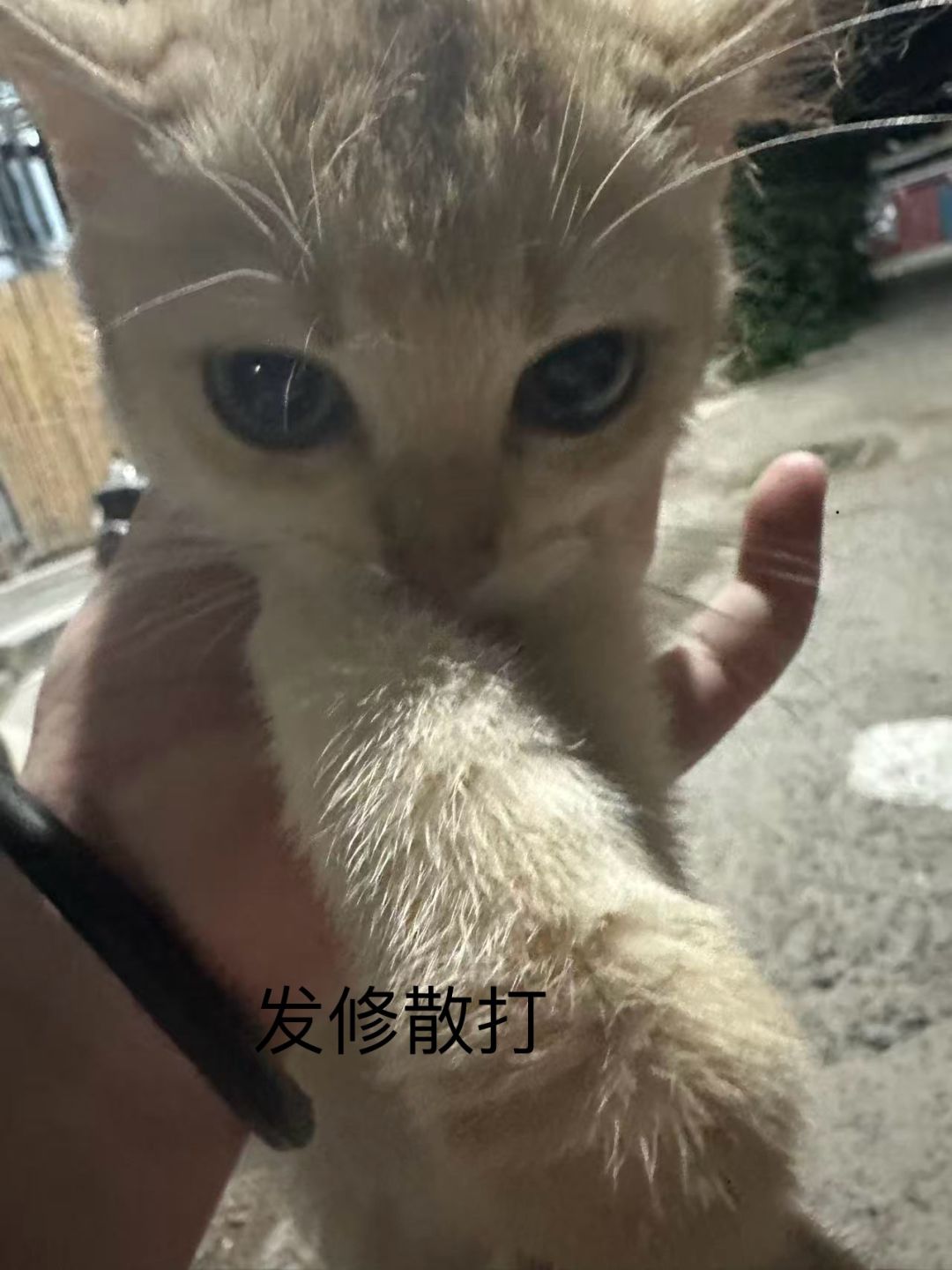 义夫们帮帮我 1