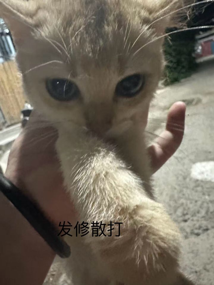 义夫们帮帮我截图