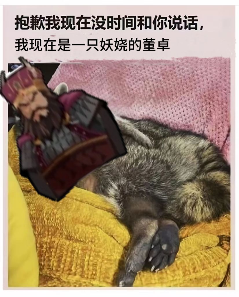 无悔华夏梗图第一弹 3