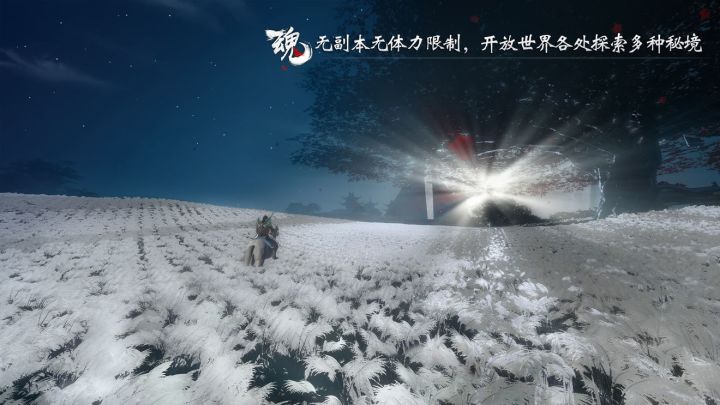 《魂》目前所公布实机视频与图片 3截图