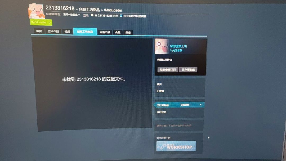 什么mod都没按怎么进不去,搞了三个小时 1