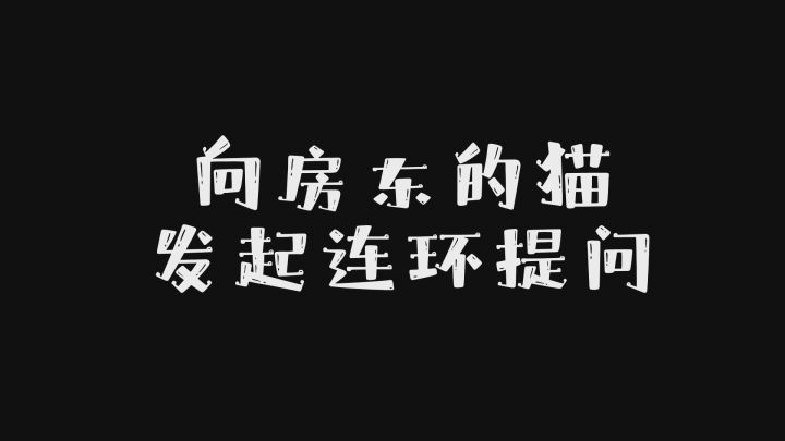 【六周年】向房东的猫发起连环提问！截图